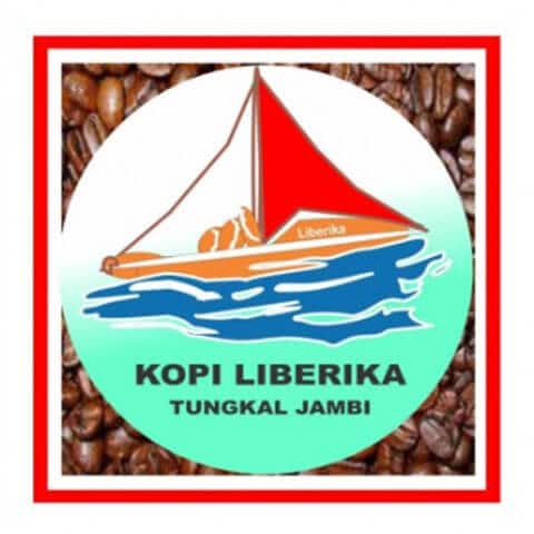 penghasil kopi indonesia - tungkal jambi