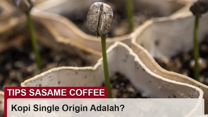 tips sasame coffee - kopi single origin adalah