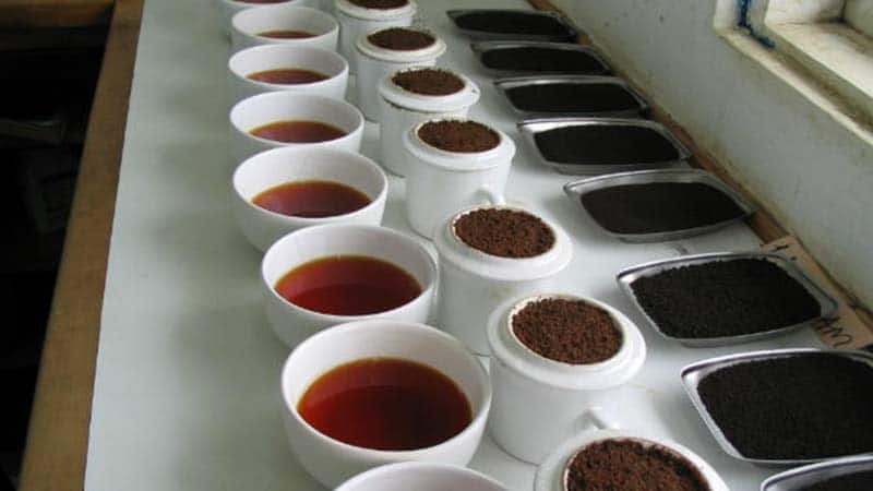 coffee - cupping